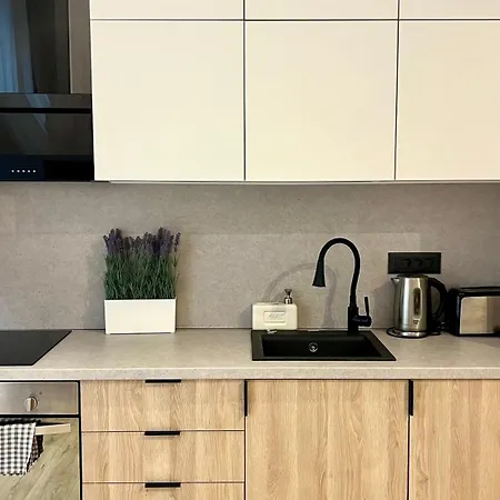Flat In Near Old Town Апартаменты Бухарест