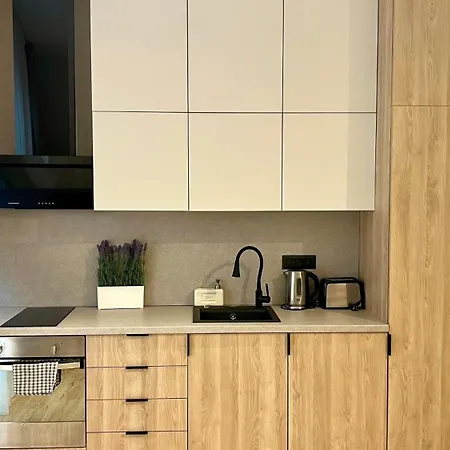 Flat In Near Old Town Bukarest