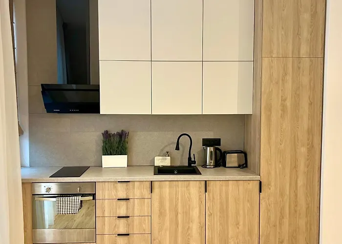 Flat In Near Old Town 부쿠레슈티